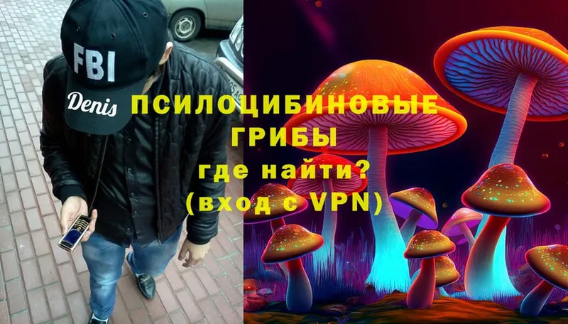 блэк спрут ONION  хочу   Отрадное  Галлюциногенные грибы Psilocybe 